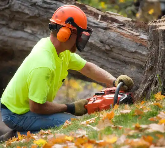 tree services Newtown